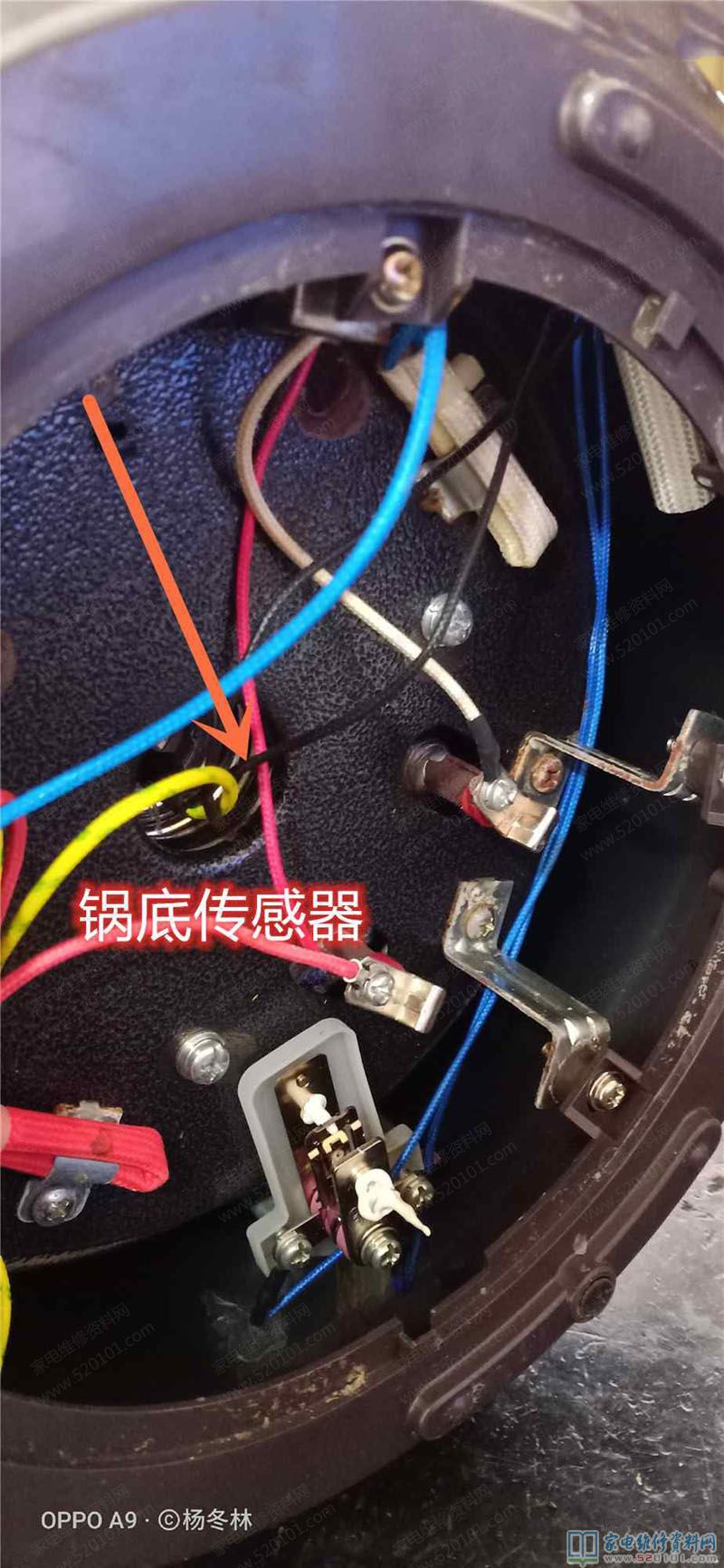 蘇泊爾CYSB50YCW10D